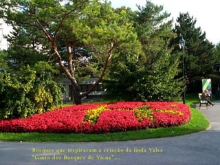 Bosques que inspiraram a criação da linda Valsa “ Conto dos Bosques de Viena”.... 