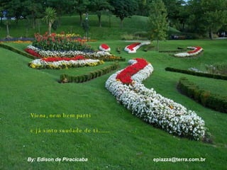 Viena, nem bem parti e já sinto saudade de ti........ By: Edison de Piracicaba  [email_address] 