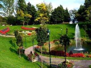 Viena dos namorados, onde as flores são mais bonitas em todas as estações... 