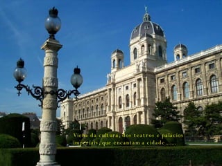 Viena da cultura, dos teatros e palácios imperiais, que encantam a cidade....... 