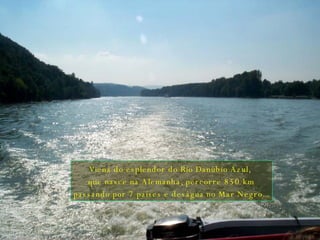 Viena do esplendor do Rio Danúbio Azul,  que nasce na Alemanha, percorre 850 km passando por 7 países e deságua no Mar Negro... 