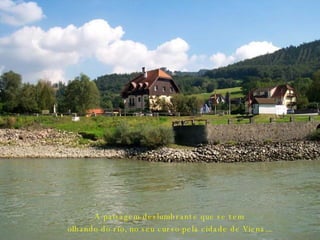 A paisagem deslumbrante que se tem olhando do rio, no seu curso pela cidade de Viena... 