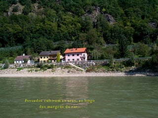 Povoados cultivam as uvas, ao longo das margens do rio... 