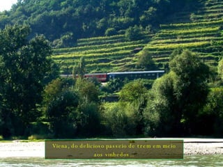 Viena, do delicioso passeio de trem em meio aos vinhedos... 