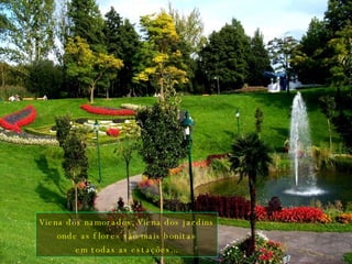 Viena dos namorados, Viena dos jardins onde as flores são mais bonitas em todas as estações... 