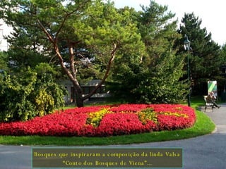 Bosques que inspiraram a c omposição  da linda Valsa “ Conto dos Bosques de Viena”... 