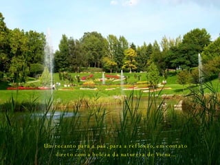 Um recanto para a paz, para a reflexão, em contato direto com a beleza da natureza de Viena... 
