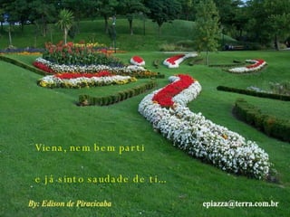 Viena, nem bem parti e já sinto saudade de ti... 