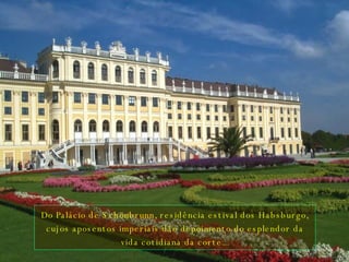 Do Palácio de Schönbrunn, residência estival dos Habsburgo, cujos aposentos imperiais dão depoimento do esplendor da vida cotidiana da corte... 