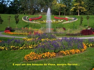 E aqui um dos bosques de Viena, sempre floridos...
 