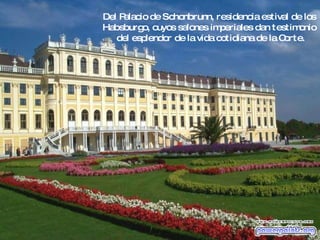 Del Palacio de Schonbrunn, residencia estival de los  Habsburgo, cuyos salones imperiales dan testimonio  del esplendor de la vida cotidiana de la Corte. 