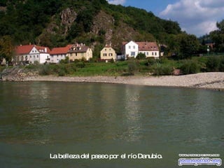 La belleza del paseo por el río Danubio. 