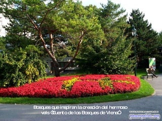 Bosques que inspiran la creación del hermoso  vals “Cuento de los Bosques de Viena”. 