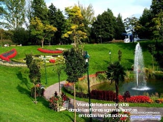 Viena de los enamorados  donde las flores son más bonitas  en todas las estaciones. 