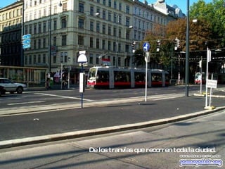 De los tranvías que recorren toda la ciudad. 