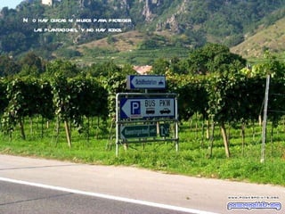 No hay cercas ni muros para proteger  las plantaciones, y no hay robos. 