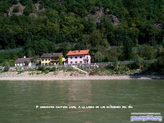 Pueblecitos cultivan uvas, a lo largo de las márgenes del río. 