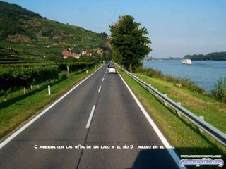 Carretera con las viñas de un lado y el río Danubio en el otro. 