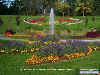 Y aquí uno de los bosques de Viena, siempre floridos. 