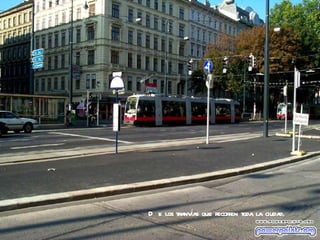 De los tranvías que recorren toda la ciudad. 