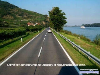 Carretera con las viñas de un lado y el río Danubio en el otro. 