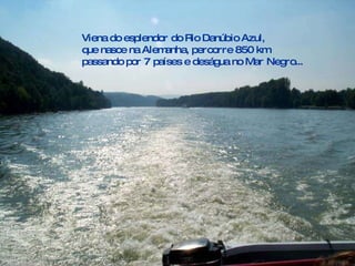 Viena do esplendor do Rio Danúbio Azul,  que nasce na Alemanha, percorre 850 km passando por 7 países e deságua no Mar Negro... 