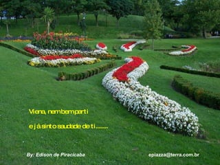 Viena, nem bem parti e já sinto saudade de ti........ By: Edison de Piracicaba  [email_address] 
