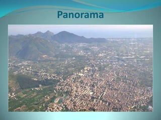 Panorama
 