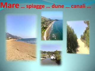Mare… spiagge … dune … canali …
 