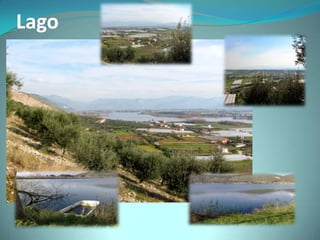 Lago
 