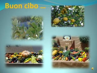 Buon cibo …
 