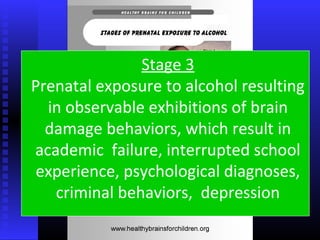 Stage 3
Prenatal exposure to alcohol resulting
in observable exhibitions of brain
damage behaviors, which result in
academic failure, interrupted school
experience, psychological diagnoses,
criminal behaviors, depression
 