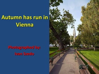 Autumn has run in Vienna Photographed by: Ivan Szedo 