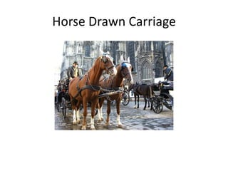 Horse Drawn Carriage
 