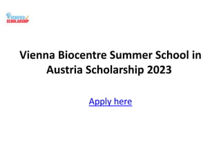 Vienna Biocentre Summer School in
Austria Scholarship 2023
Apply here
 