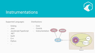 Instrumentations
Supported Languages:
- Golang
- Java
- JavaScript/TypeScript
- .NET
- Swift
- C++
- Python
- ...
Distributions:
- Core
- Contrib
- Instrumentation
 