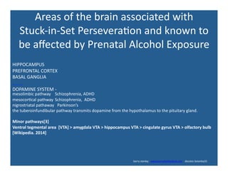 Areas	
  of	
  the	
  brain	
  associated	
  with	
  	
  
Stuck-­‐in-­‐Set	
  Persevera'on	
  and	
  known	
  to	
  
be	
  aﬀected	
  by	
  Prenatal	
  Alcohol	
  Exposure	
  
HIPPOCAMPUS	
  
PREFRONTAL	
  CORTEX	
  
BASAL	
  GANGLIA	
  
DOPAMINE	
  SYSTEM	
  -­‐	
  
. 	
  	
  
mesolimbic	
  pathway 	
  	
  Schizophrenia,	
  ADHD	
  
mesocor'cal	
  pathway	
  	
  Schizophrenia,	
  	
  ADHD 	
  	
  	
  
nigrostriatal	
  pathaway	
  	
  	
  Parkinson’s	
  	
  	
  	
  
the	
  tuberoinfundibular	
  pathway	
  transmits	
  dopamine	
  from	
  the	
  hypothalamus	
  to	
  the	
  pituitary	
  gland.	
  
Minor	
  pathways[3]	
  
Ventral	
  tegmental	
  area	
  	
  [VTA]	
  >	
  amygdala	
  VTA	
  >	
  hippocampus	
  VTA	
  >	
  cingulate	
  gyrus	
  VTA	
  >	
  olfactory	
  bulb	
  	
  	
  	
  	
  	
  	
  	
  	
  	
  	
  	
  	
  	
  	
  	
  	
  
[Wikipedia.	
  2014]	
  
	
  	
  	
  	
  	
  	
  	
  	
  	
  	
  	
  	
  	
  	
  	
  	
  	
  	
  	
  	
  	
  	
  	
  	
  	
  	
  	
  	
  	
  	
  	
  	
  	
  	
  	
  	
  	
  	
  	
  	
  	
  	
  	
  	
  	
  	
  	
  	
  	
  	
  	
  	
  	
  	
  	
  	
  	
  	
  	
  	
  	
  	
  	
  	
  	
  	
  	
  	
  	
  	
  	
  	
  	
  	
  	
  	
  	
  	
  	
  	
  	
  	
  	
  	
  	
  	
  	
  	
  	
  	
  	
  	
  	
  	
  	
  	
  	
  	
  	
  	
  	
  	
  	
  	
  	
  	
  	
  	
  	
  	
  	
  	
  	
  	
  	
  	
  	
  	
  	
  	
  	
  	
  	
  	
  barry	
  stanley	
  	
  	
  www.barrystanleyfasd.com	
  	
  	
  	
  docstoc	
  bstanley31	
  
 
