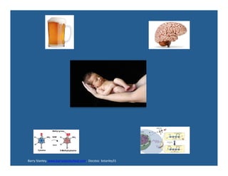 Barry	
  Stanley.	
  www.barrystanleyfasd.com.	
  	
  Docstoc	
  	
  bstanley31	
  
 