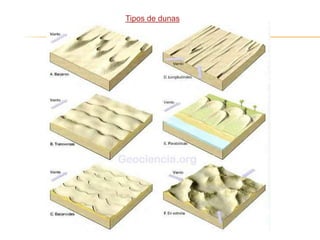 Tipos de dunas
 