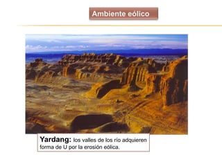 Yardang: los valles de los río adquieren
forma de U por la erosión eólica.
 