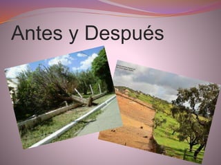 Antes y Después
 