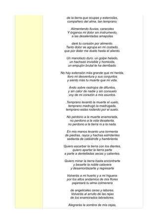 de la tierra que ocupas y estercolas,
    compañero del alma, tan temprano.

      Alimentando lluvias, caracoles
    Y órganos mi dolor sin instrumento,
       a las desalentadas amapolas

       daré tu corazón por alimento.
   Tanto dolor se agrupa en mi costado,
  que por doler me duele hasta el aliento.

   Un manotazo duro, un golpe helado,
     un hachazo invisible y homicida,
    un empujón brutal te ha derribado.

No hay extensión más grande que mi herida,
    lloro mi desventura y sus conjuntos
    y siento más tu muerte que mi vida.

     Ando sobre rastrojos de difuntos,
    y sin calor de nadie y sin consuelo
    voy de mi corazón a mis asuntos.

   .Temprano levantó la muerte el vuelo,
     temprano madrugó la madrugada,
   temprano estás rodando por el suelo.

   No perdono a la muerte enamorada,
     no perdono a la vida desatenta,
    no perdono a la tierra ni a la nada.

   En mis manos levanto una tormenta
  de piedras, rayos y hachas estridentes
   sedienta de catástrofe y hambrienta
                     .
 Quiero escarbar la tierra con los dientes,
       quiero apartar la tierra parte
 a parte a dentelladas secas y calientes.

  Quiero minar la tierra hasta encontrarte
        y besarte la noble calavera
      y desamordazarte y regresarte

    Volverás a mi huerto y a mi higuera:
    por los altos andamios de mis flores
        pajareará tu alma colmenera

      de angelicales ceras y labores.
      Volverás al arrullo de las rejas
      de los enamorados labradores.

     Alegrarás la sombra de mis cejas,
 