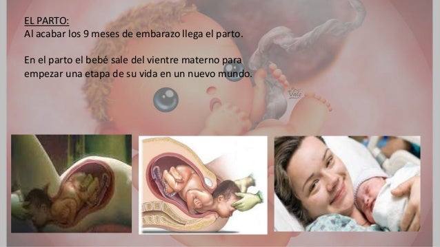 Vientre Materno