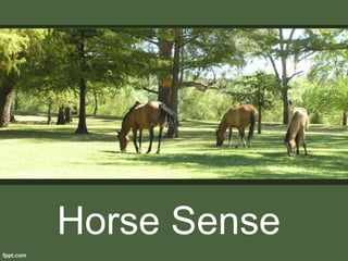 Horse Sense
 