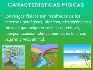 Características Físicas   Los rasgos físicos son resultados de los procesos geológicos, hídricos, atmosféricos y bióticos que originan formas de relieve, cuerpos acuosos, climas, suelos, naturaleza vegetal y vida animal. 