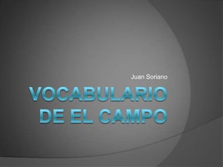 Vocabulario de el Campo Juan Soriano 