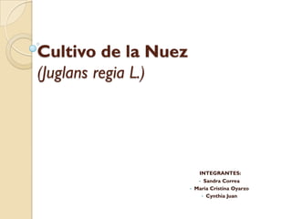 Cultivo de la Nuez
(Juglans regia L.)
INTEGRANTES:
• Sandra Correa
• Maria Cristina Oyarzo
• Cynthia Juan
 
