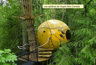  Les sphères de l’esprit libre Canada
 