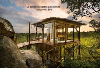La cabane Kingston Lion Sands 
Afrique du Sud
 