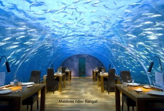 Maldives hôtel Rangali
 